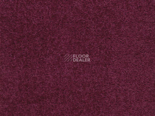 Ковролин Balta Smile 195 фото 1 | FLOORDEALER